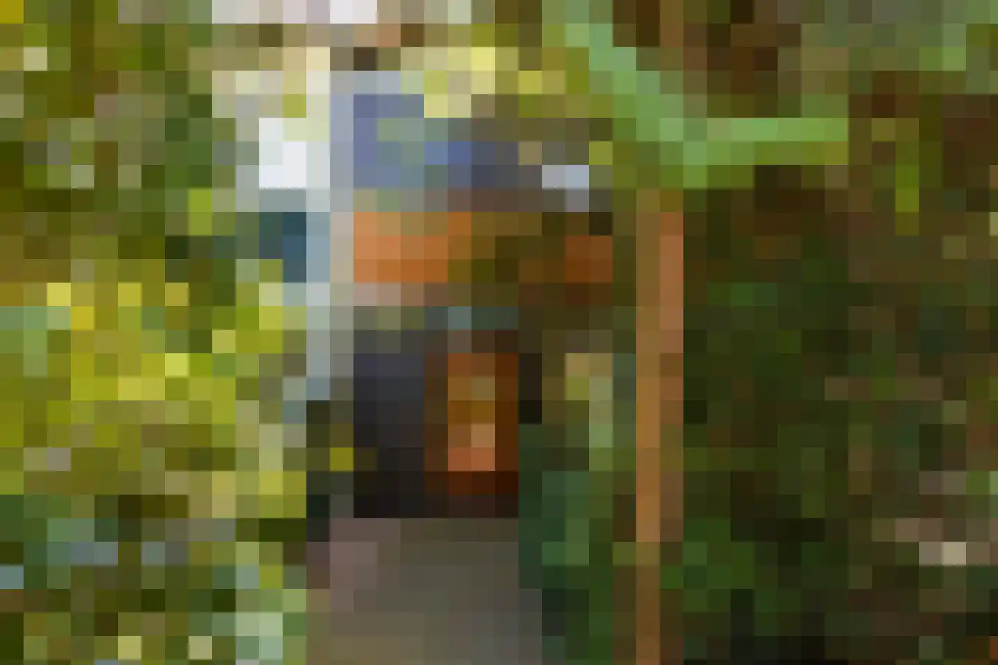 Van Anrooylaan 12 Ede thumbnail 5