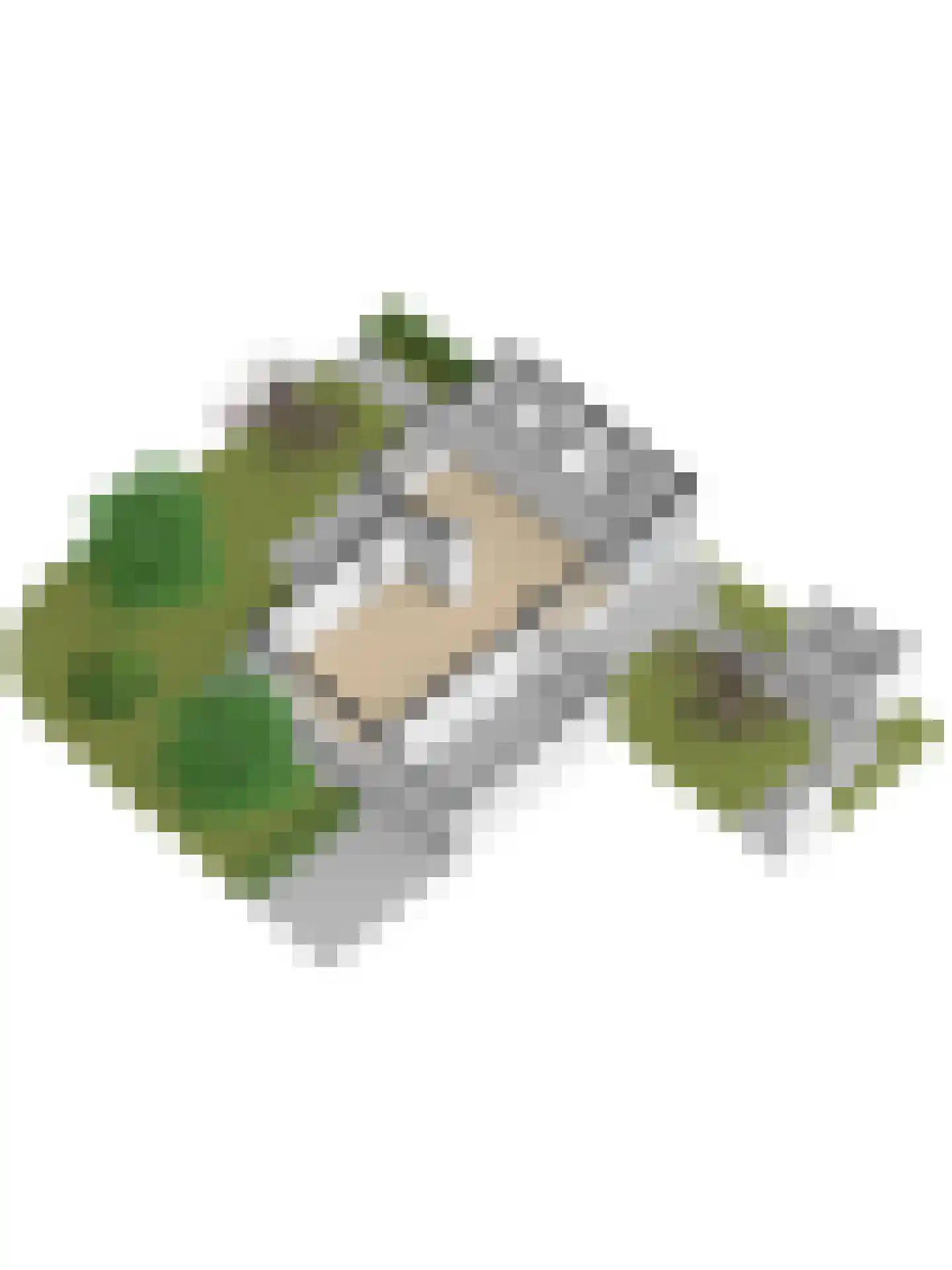 Van Anrooylaan 12 Ede thumbnail 56