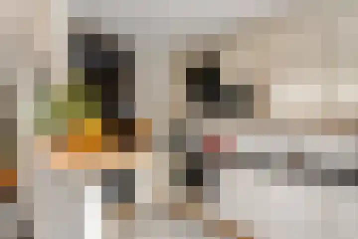 Van Anrooylaan 20 Ede thumbnail 10