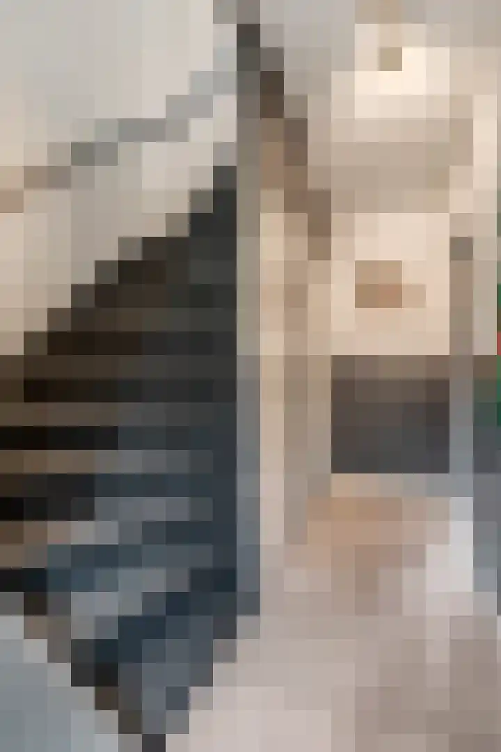 Van Anrooylaan 20 Ede thumbnail 13