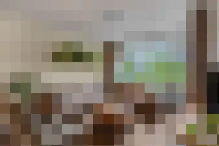 Van Anrooylaan 20 Ede thumbnail 4