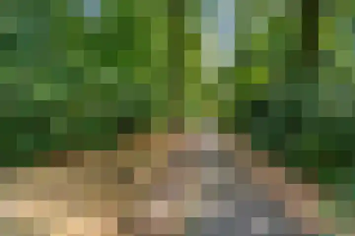 Van Anrooylaan 20 Ede thumbnail 46