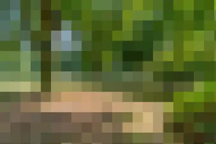 Van Anrooylaan 20 Ede thumbnail 47