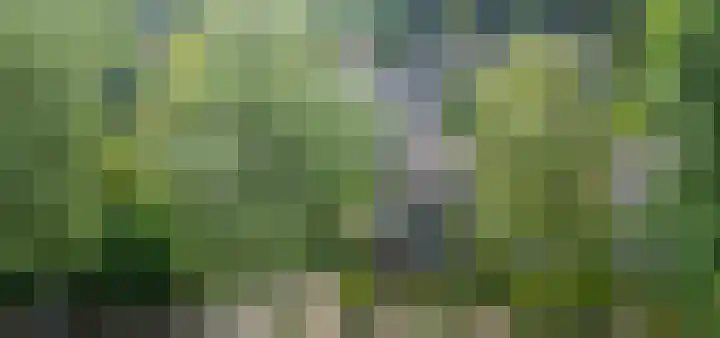 Van Anrooylaan 20 Ede thumbnail 48