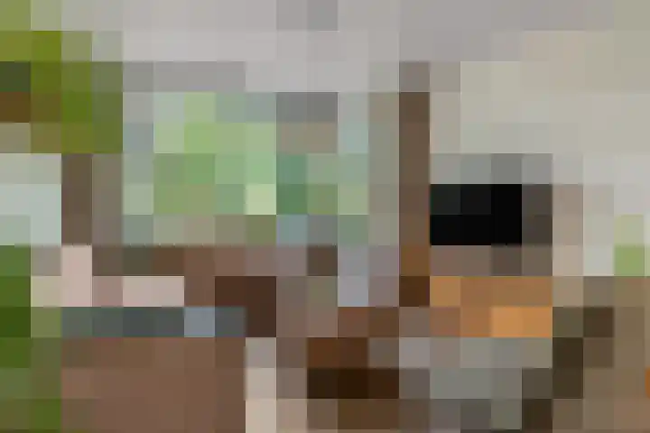 Van Anrooylaan 20 Ede thumbnail 5