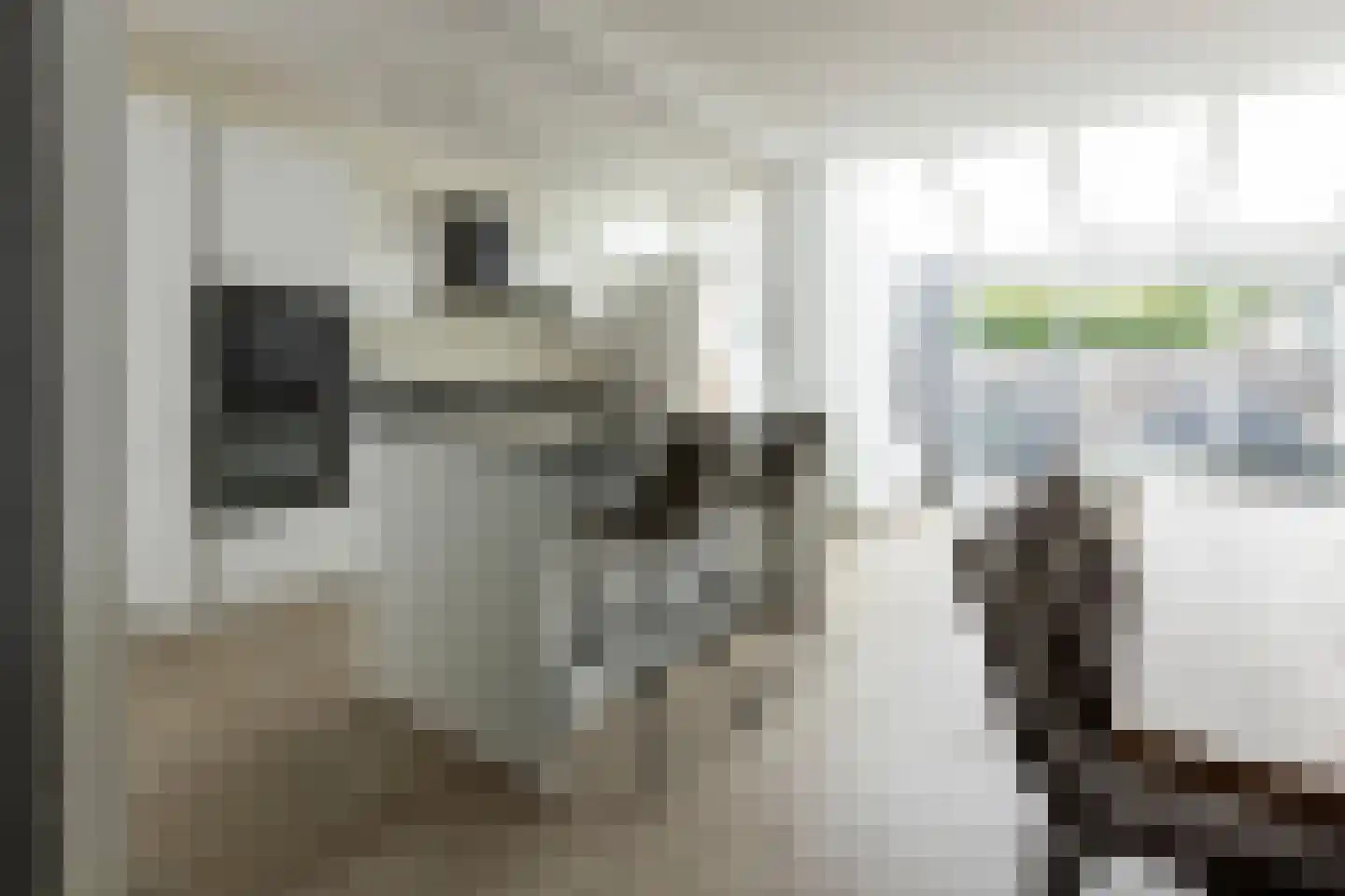 Van Anrooylaan 21 Ede thumbnail 15