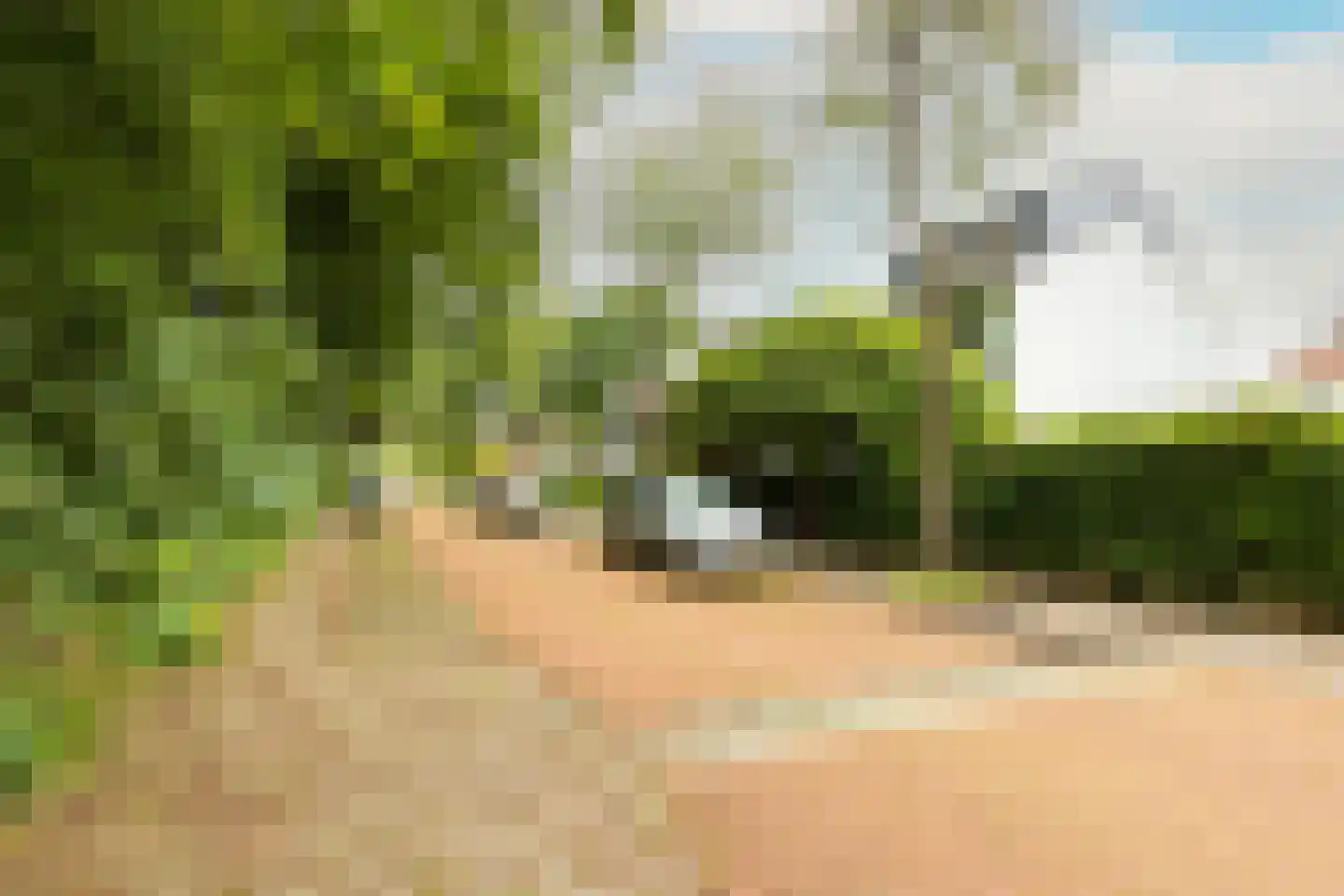 Van Anrooylaan 21 Ede thumbnail 50