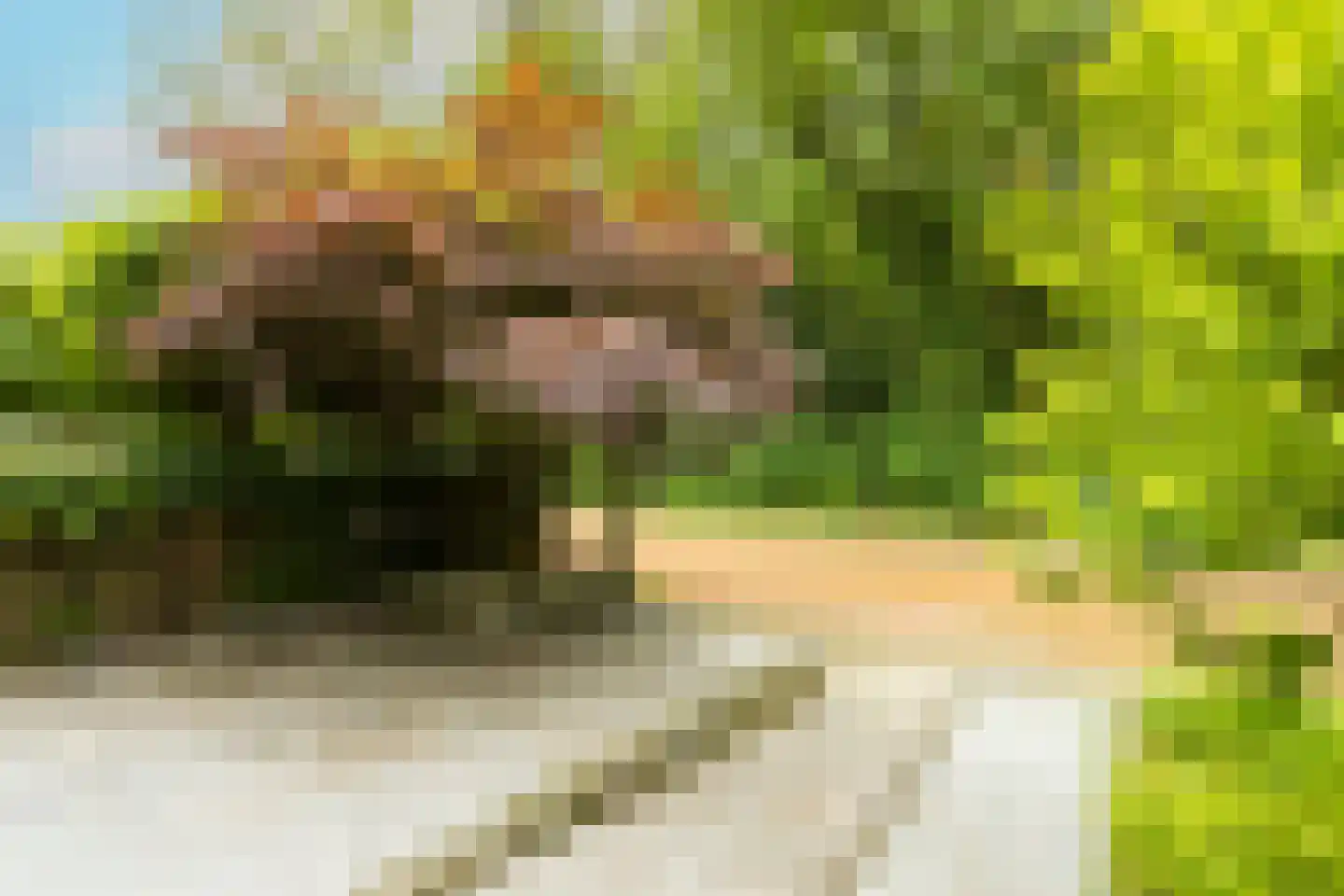 Van Anrooylaan 21 Ede thumbnail 7