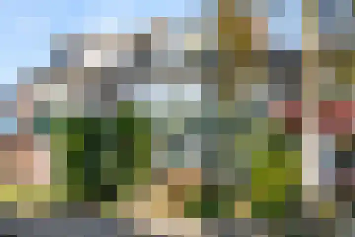 Van Anrooylaan 3 in Ede