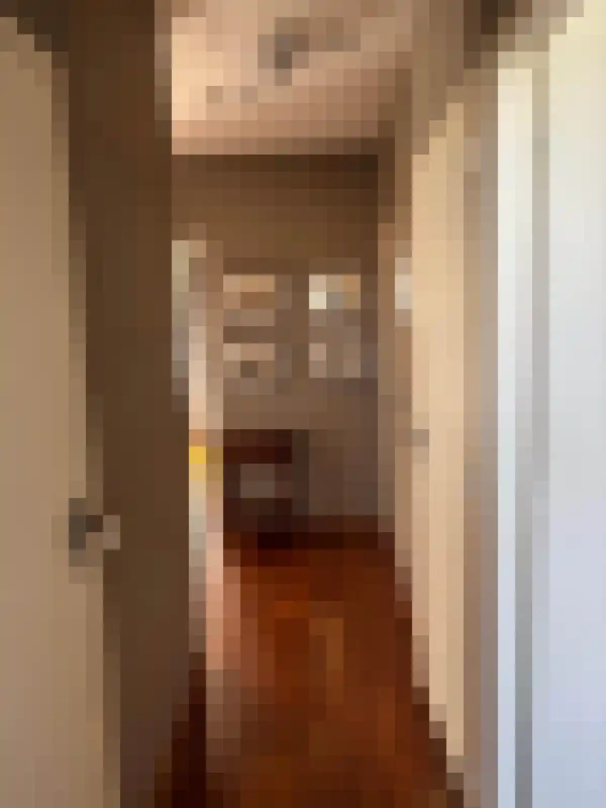 Van Anrooystraat 127 Ridderkerk thumbnail 9