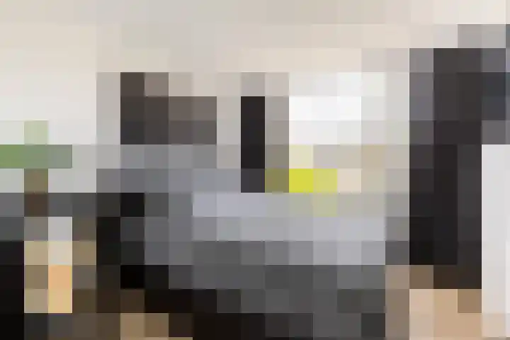 Van Anrooystraat 147 Ridderkerk thumbnail 22