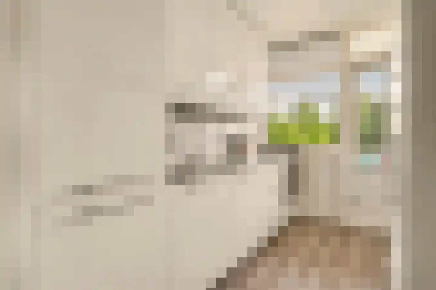 Van Anrooystraat 27 Ridderkerk thumbnail 8