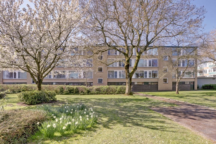 Van Anrooystraat 317 in Ridderkerk photo