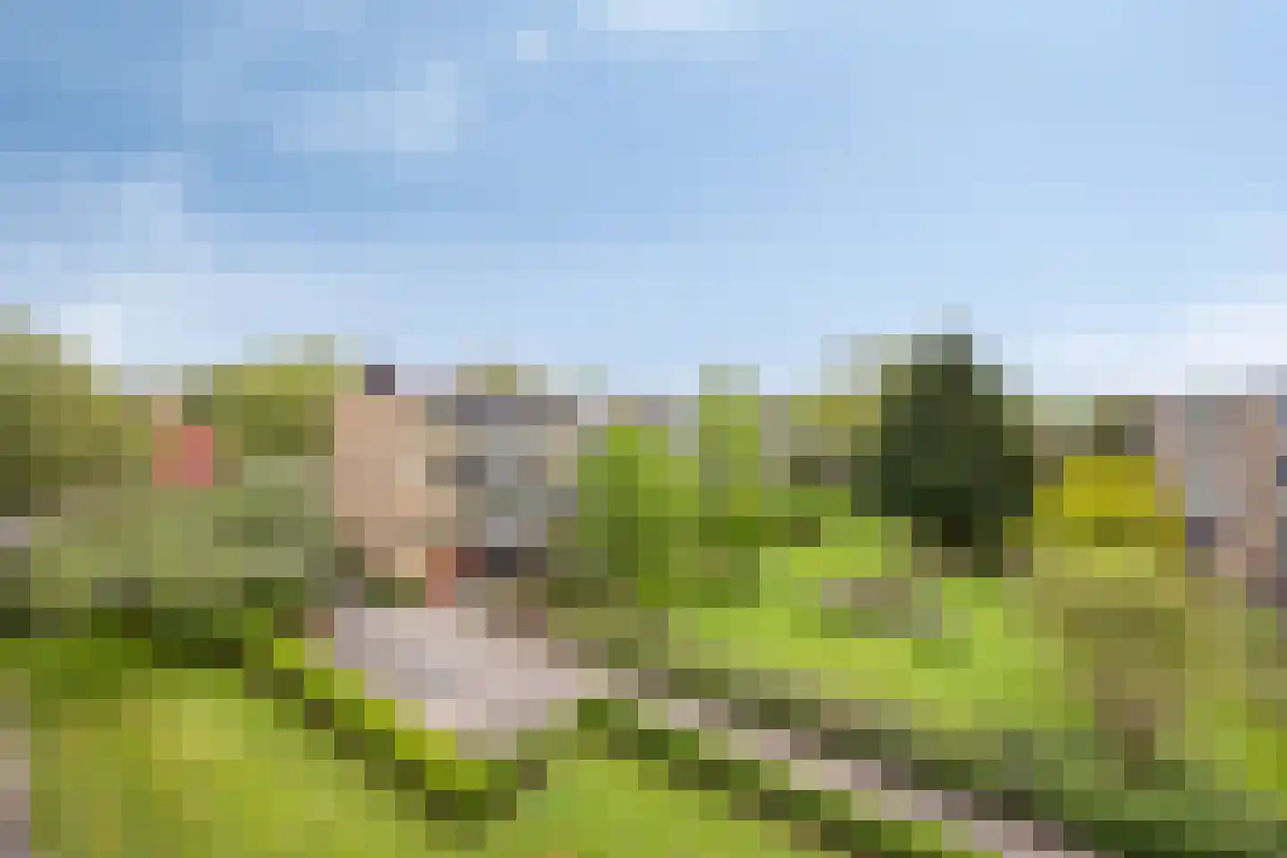 Van Anrooystraat 35 Ridderkerk thumbnail 22