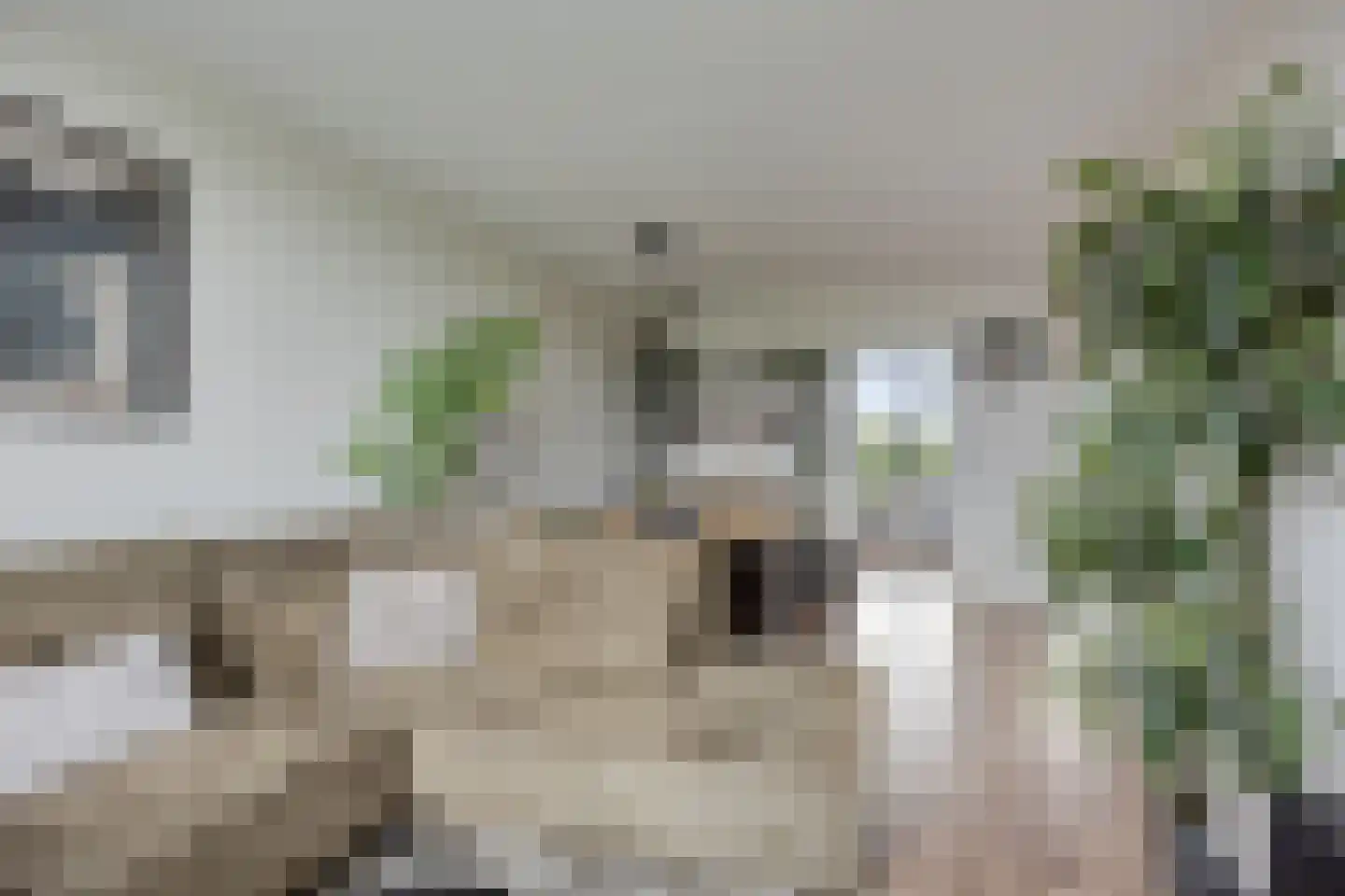 Van Anrooystraat 35 Ridderkerk thumbnail 8