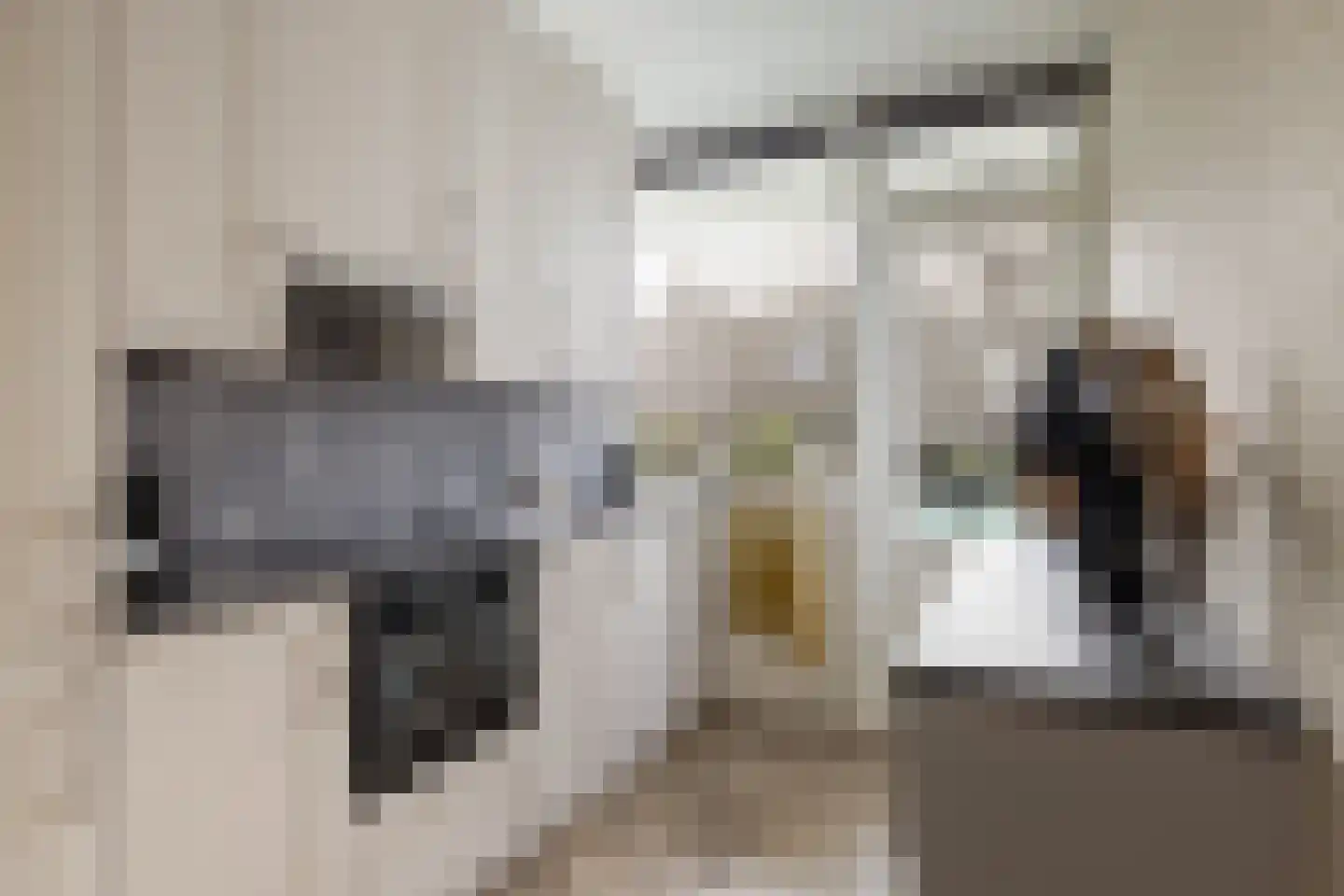 Van Anrooystraat 469 Ridderkerk thumbnail 17