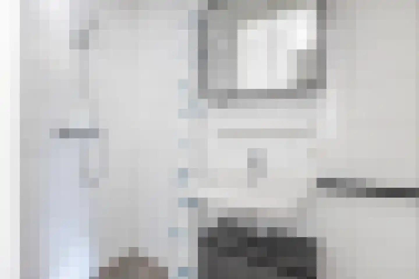 Van Aostastraat 1 b Heiloo thumbnail 9