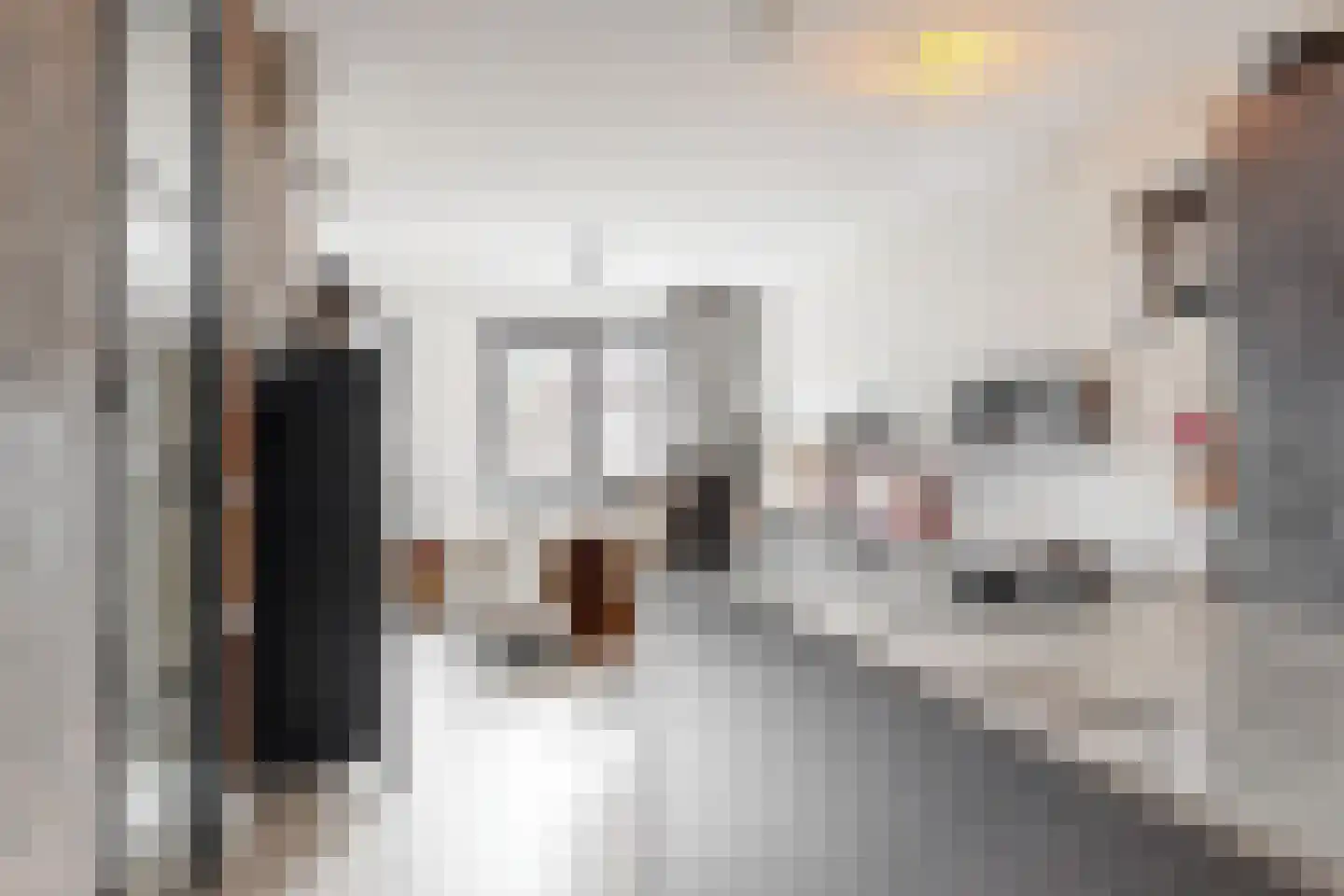 Van Aostastraat 1 e Heiloo thumbnail 18