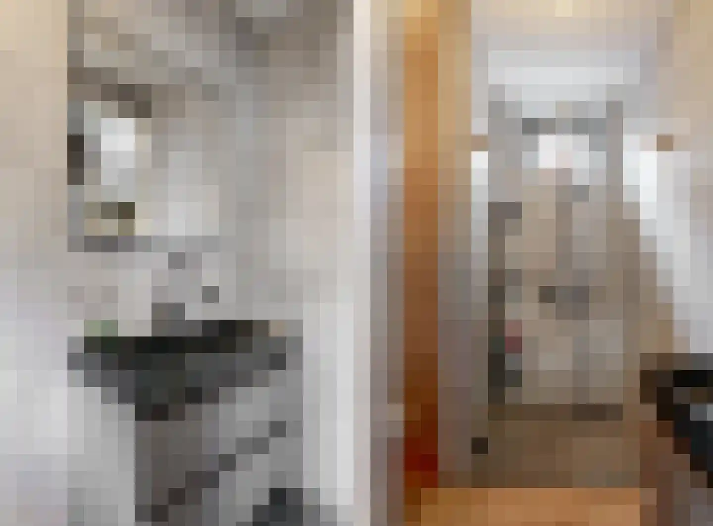 Van Aostastraat 1 e Heiloo thumbnail 22