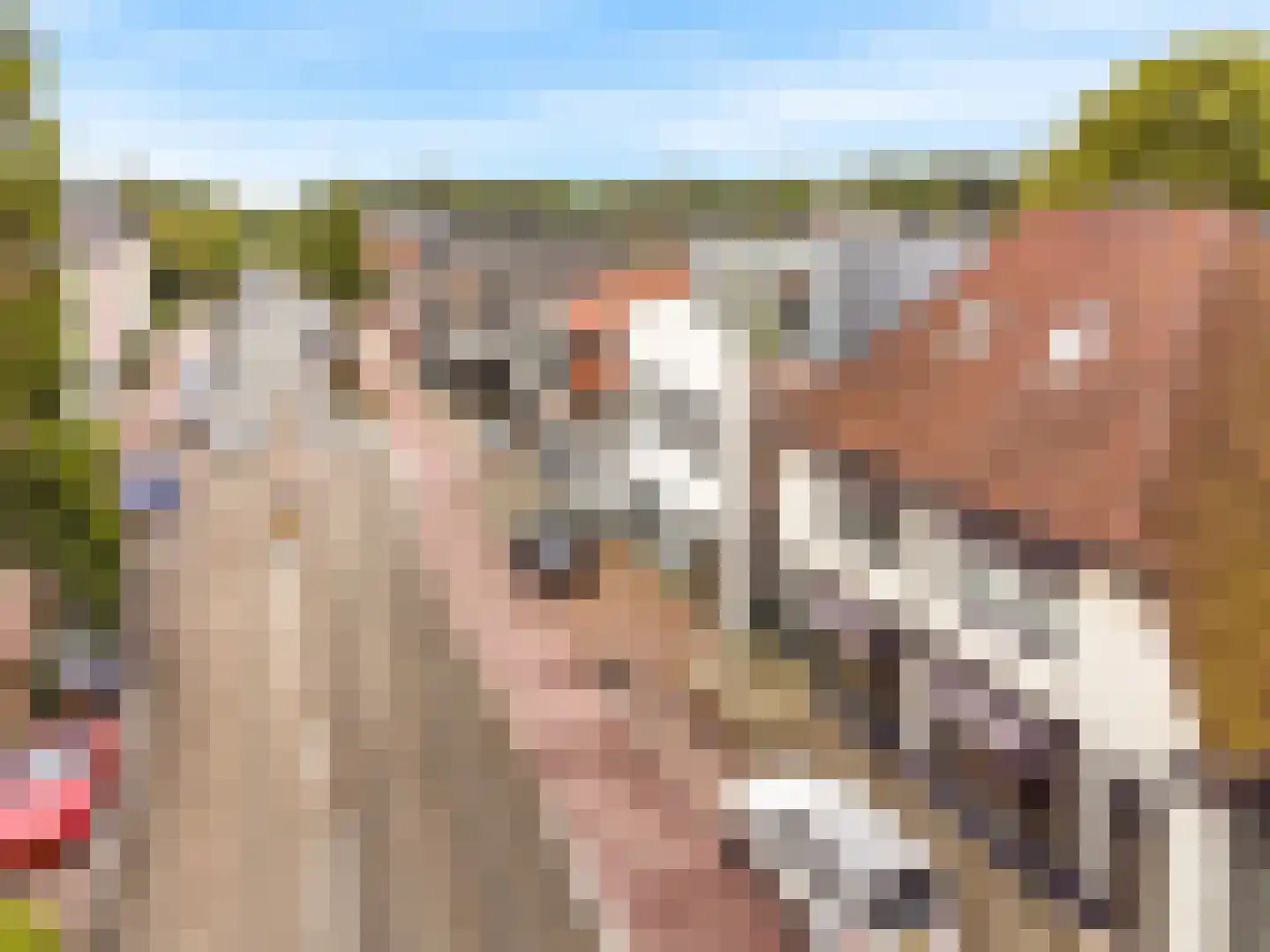 Van Aostastraat 1 e Heiloo thumbnail 25