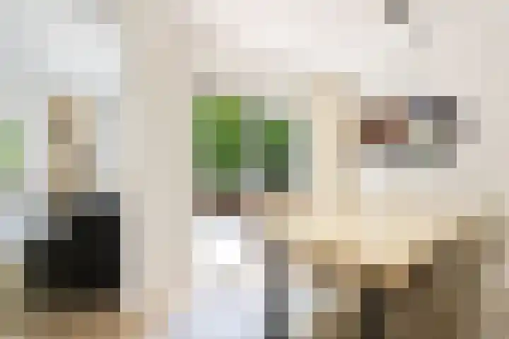 Van Aostastraat 13 Heiloo thumbnail 4