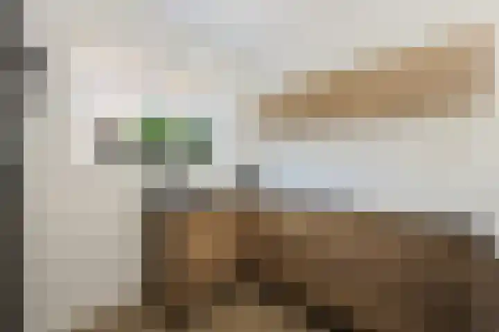 Van Aostastraat 13 Heiloo thumbnail 6