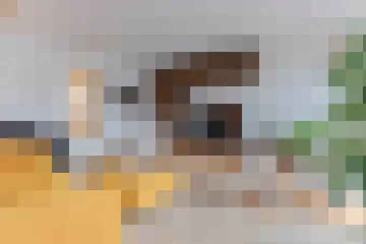 Van Aostastraat 19 Heiloo thumbnail 4