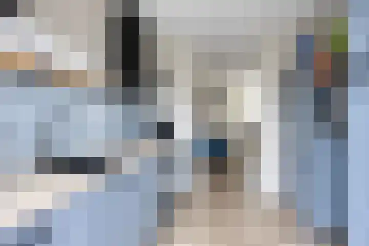 Van Apeldoornshof 17 Heerde thumbnail 13
