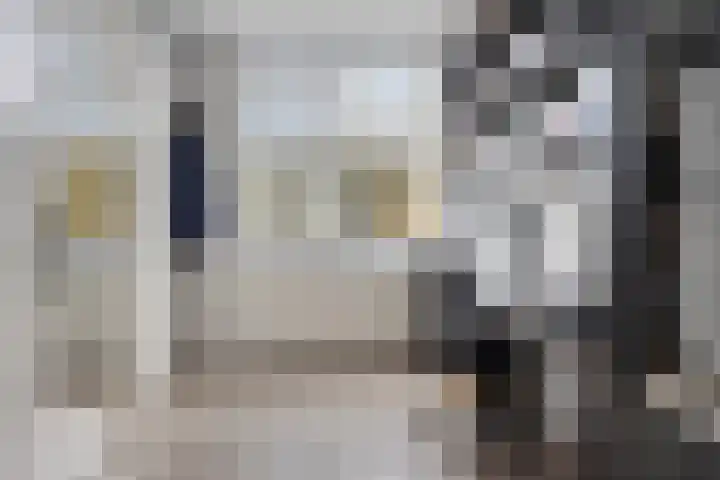 Van Apeldoornshof 17 Heerde thumbnail 14