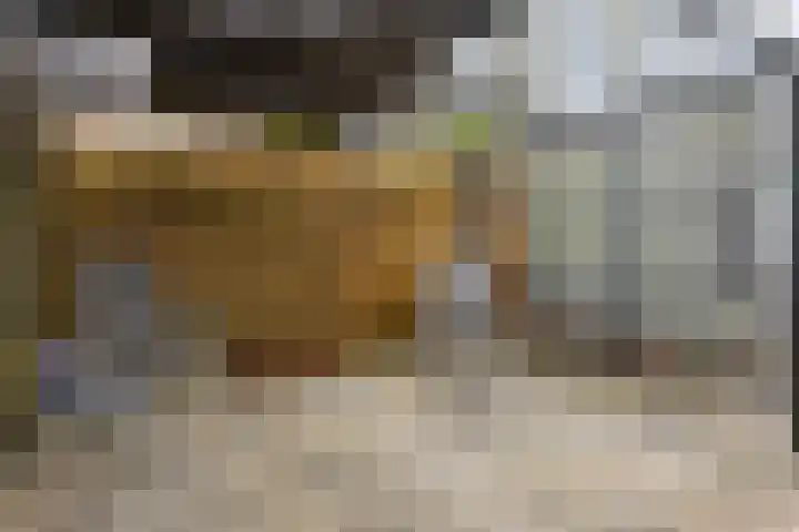 Van Apeldoornshof 17 Heerde thumbnail 24