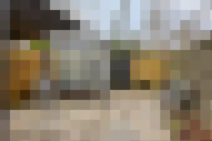 Van Apeldoornshof 17 Heerde thumbnail 25