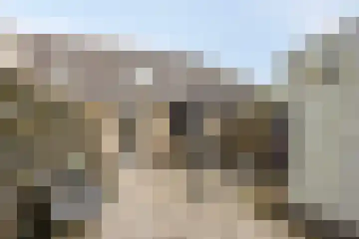 Van Apeldoornshof 17 Heerde thumbnail 26