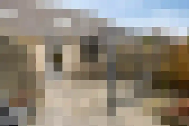 Van Apeldoornshof 17 Heerde thumbnail 27
