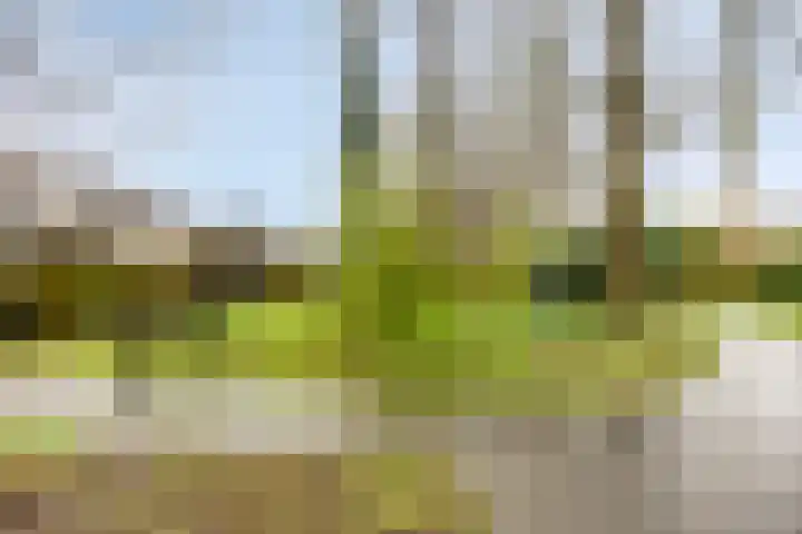 Van Apeldoornshof 17 Heerde thumbnail 29