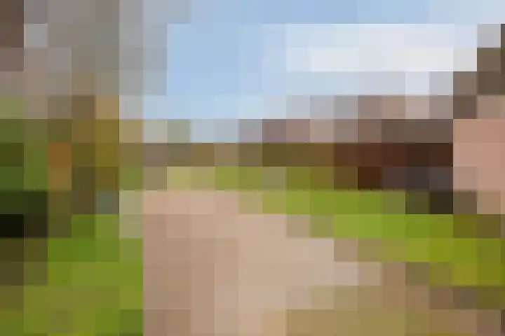 Van Apeldoornshof 17 Heerde thumbnail 30