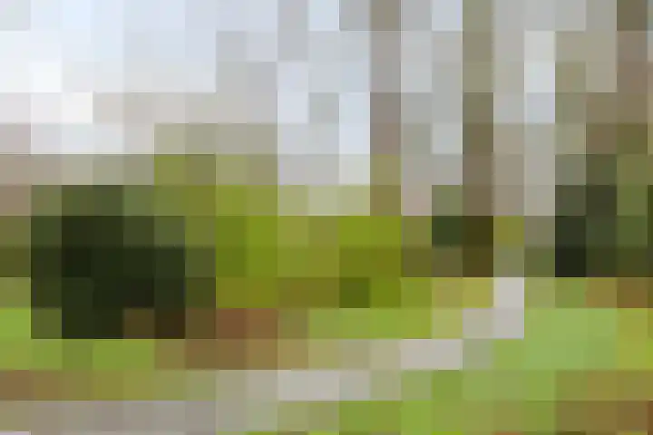 Van Apeldoornshof 17 Heerde thumbnail 31