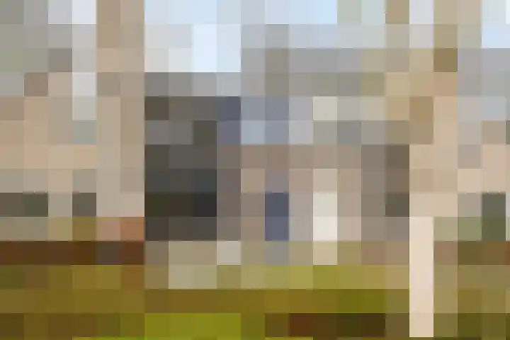 Van Apeldoornshof 17 Heerde thumbnail 32