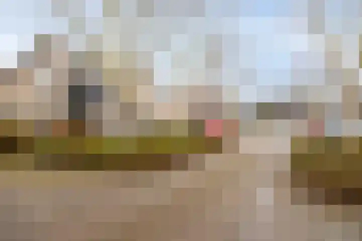 Van Apeldoornshof 17 Heerde thumbnail 33