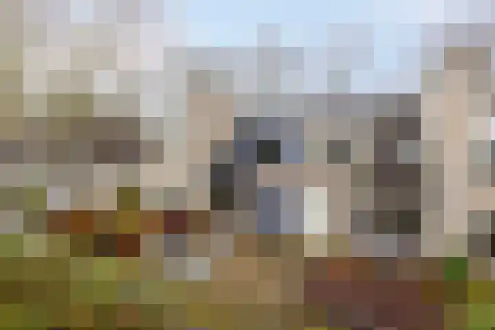 Van Apeldoornshof 17 Heerde thumbnail 35
