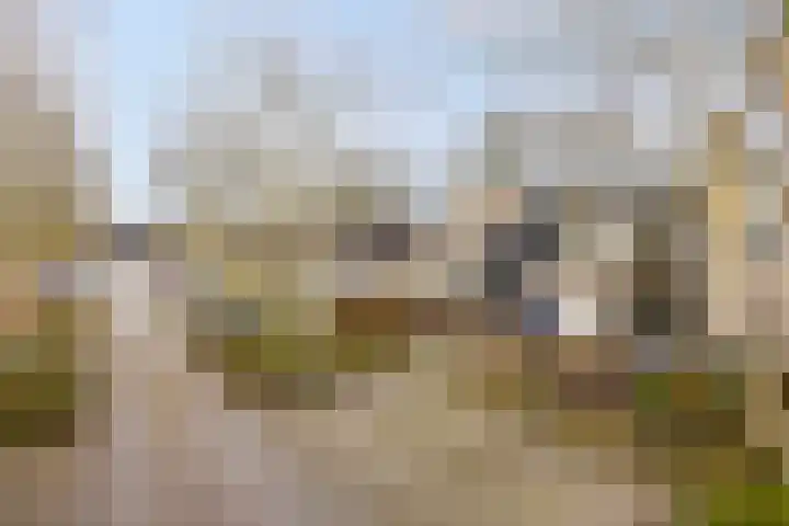 Van Apeldoornshof 17 Heerde thumbnail 36