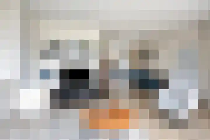 Van Apeldoornshof 17 Heerde thumbnail 8