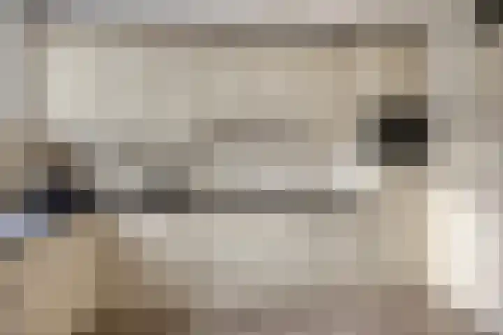 Van Apeldoornshof 25 Heerde thumbnail 11