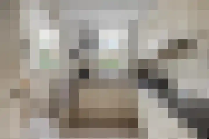 Van Apeldoornshof 25 Heerde thumbnail 12