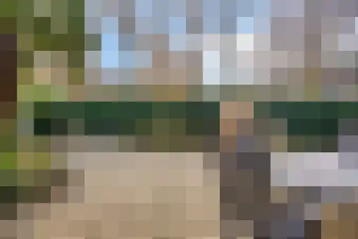 Van Apeldoornshof 25 Heerde thumbnail 29