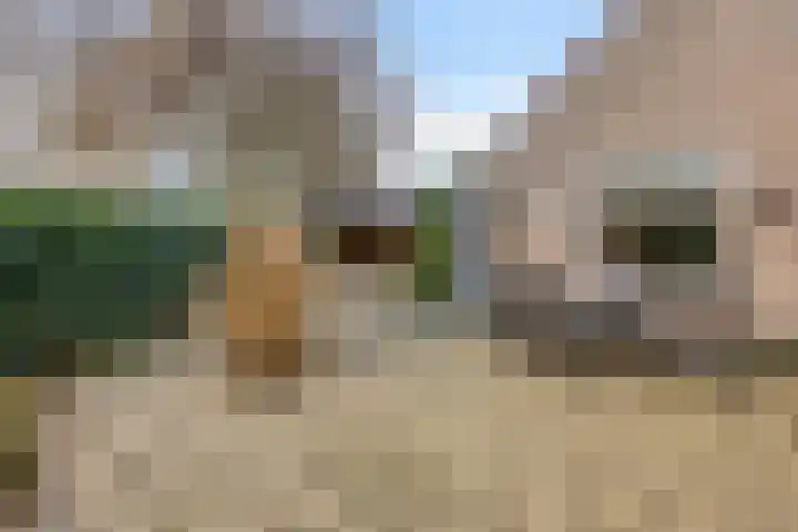 Van Apeldoornshof 25 Heerde thumbnail 30
