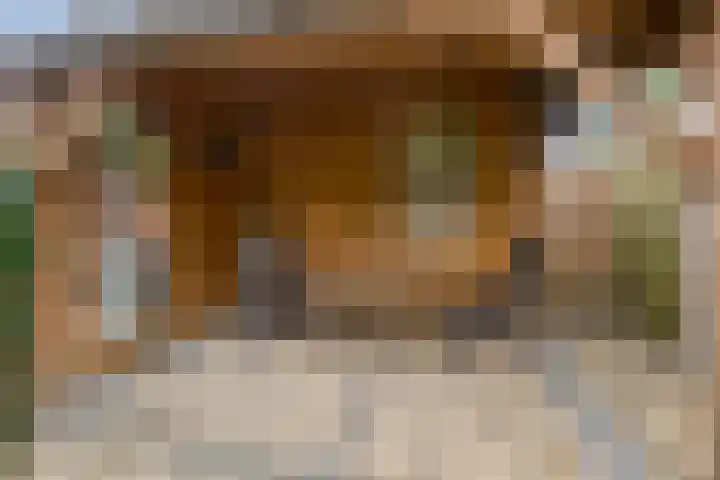 Van Apeldoornshof 25 Heerde thumbnail 32