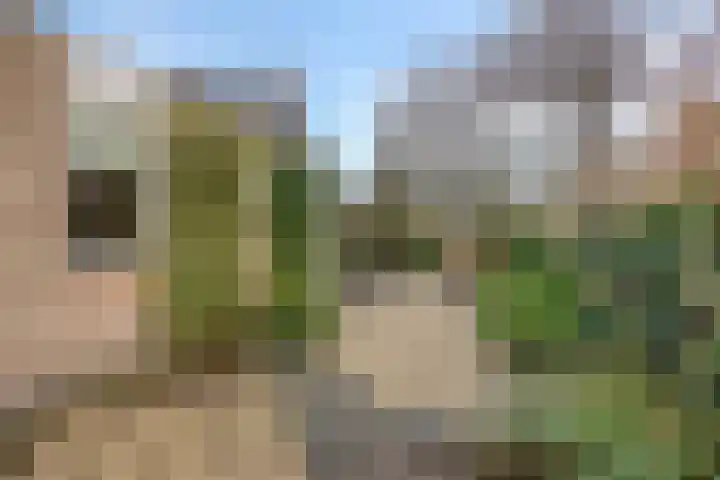 Van Apeldoornshof 25 Heerde thumbnail 33