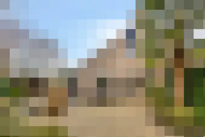 Van Apeldoornshof 25 Heerde thumbnail 34