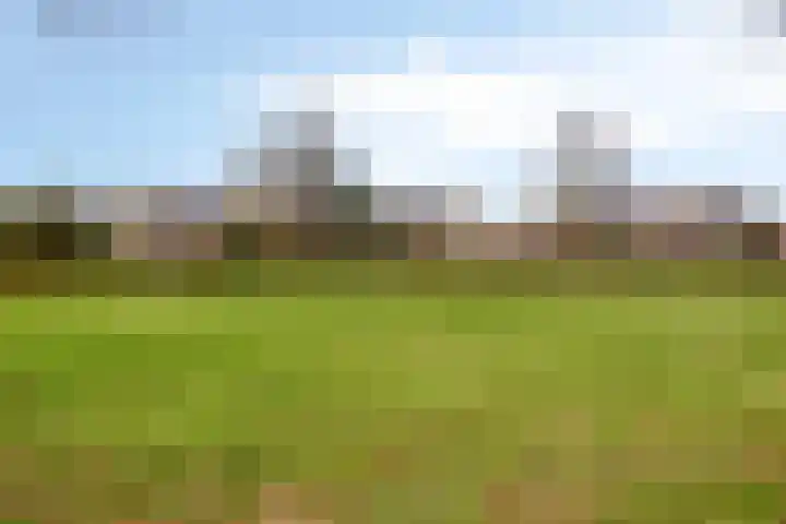 Van Apeldoornshof 25 Heerde thumbnail 36
