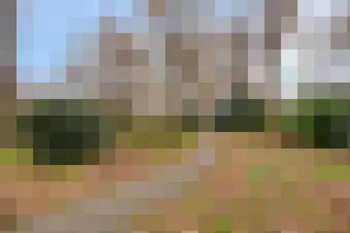 Van Apeldoornshof 25 Heerde thumbnail 37